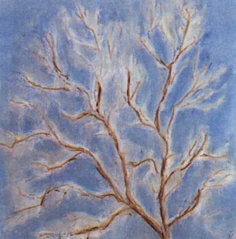Baum im Frost