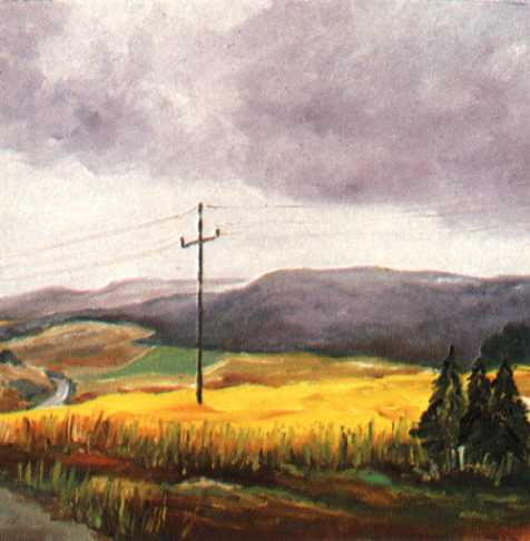 Sonne auf Kornfeld